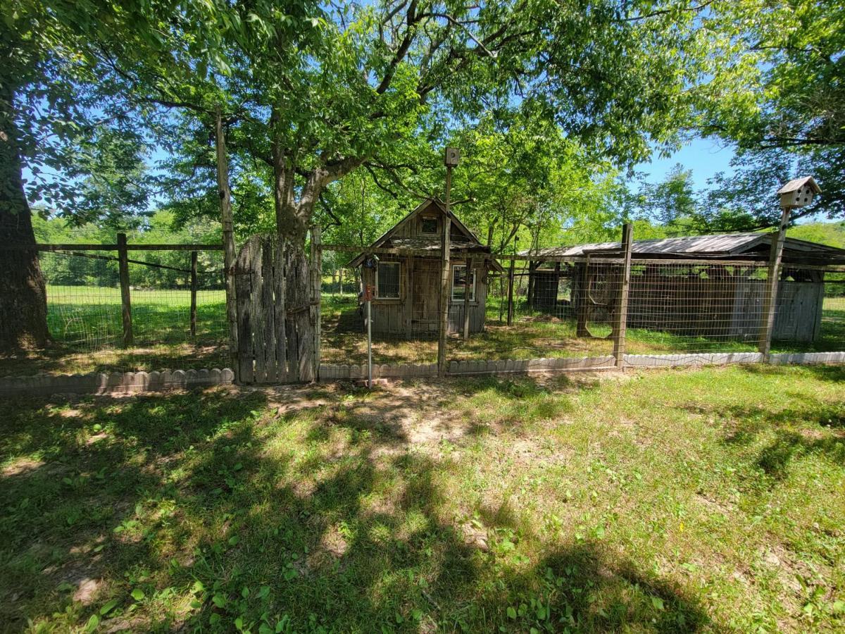 Villa The Little House At Evoo Cookeville Esterno foto