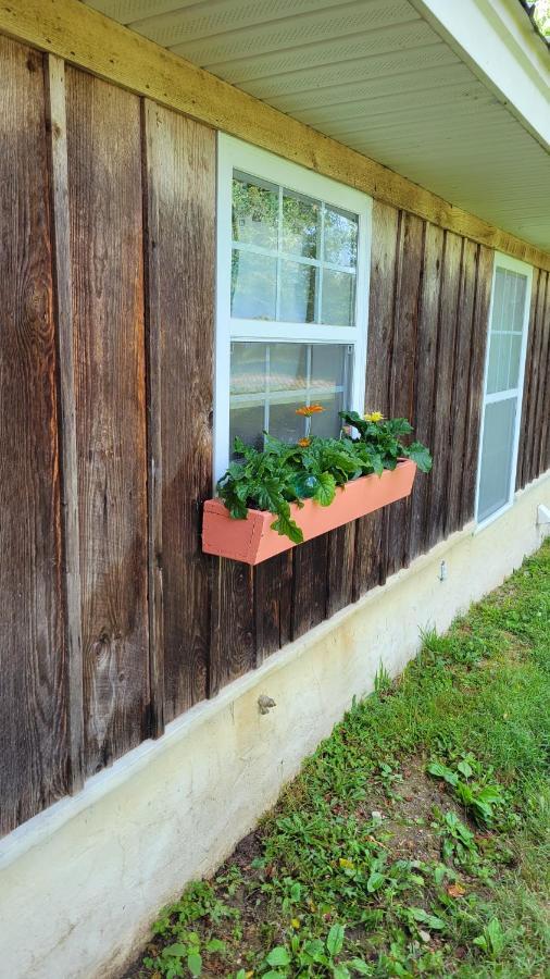 Villa The Little House At Evoo Cookeville Esterno foto